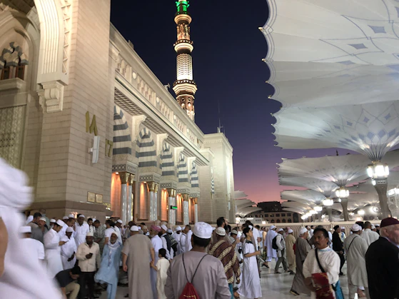 A serene gathering of diverse Chinese Muslims united in peaceful advocacy under soft Islamic-inspired hues.