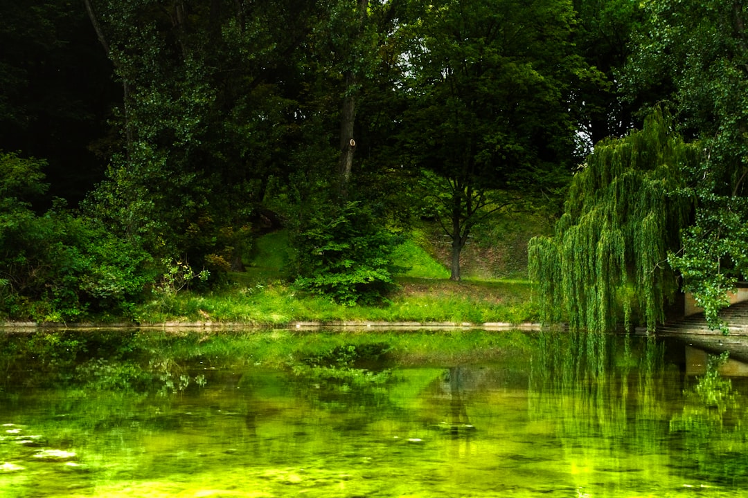 Forest photo spot Park Skaryszewski Kampinos Forest