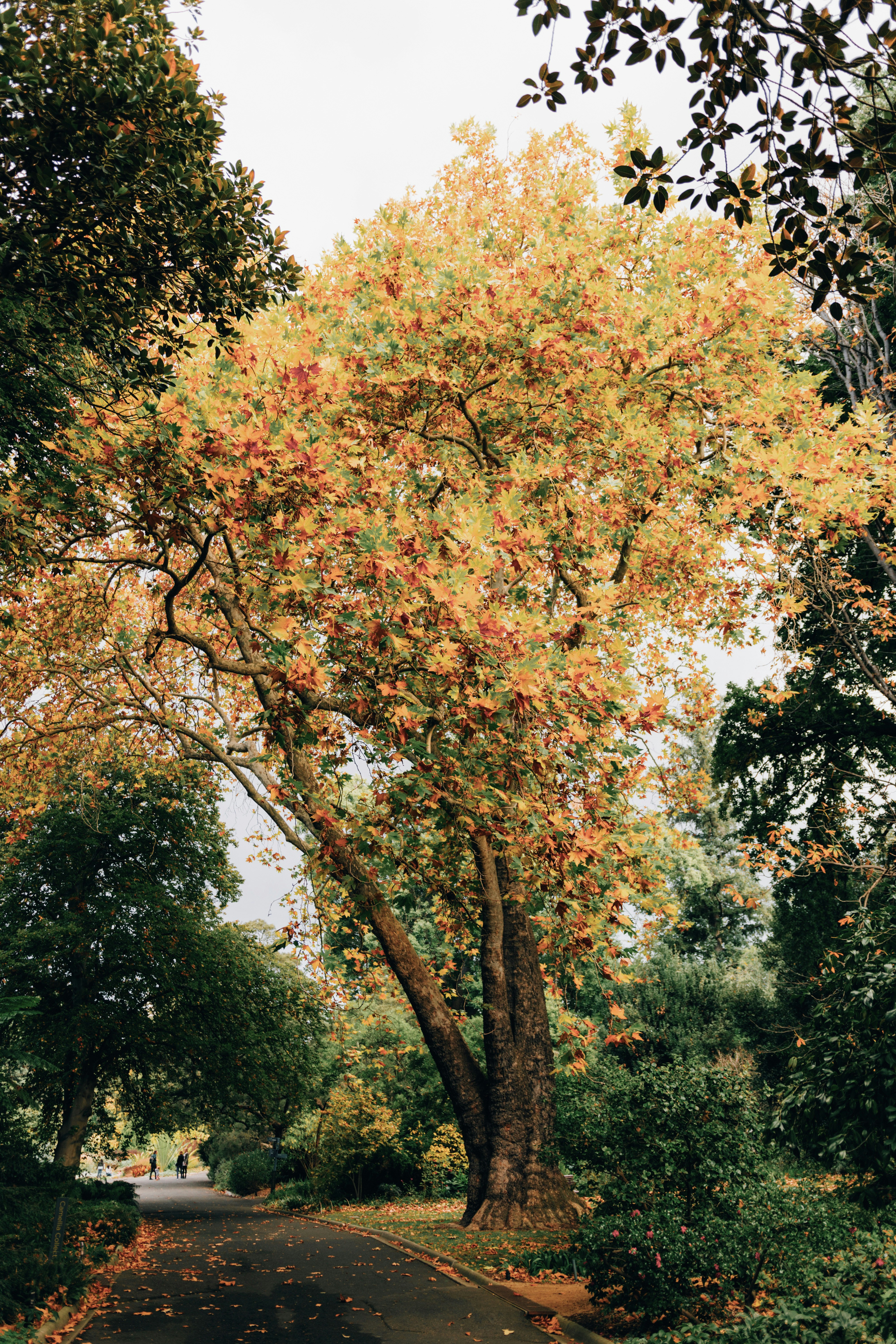 Photo by minghan1004