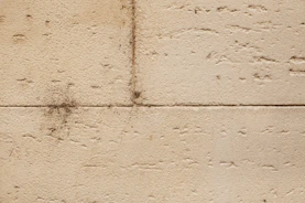 Close-up of hands scrubbing a bathroom tile grout during a deep clean