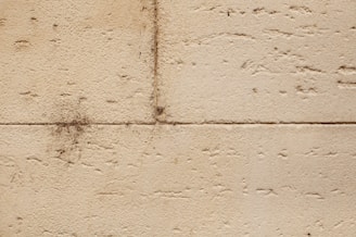 Close-up of exterior walls freshly cleaned and treated, showing texture and color.