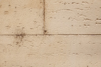Close-up of a basement wall being professionally sealed to prevent water seepage.