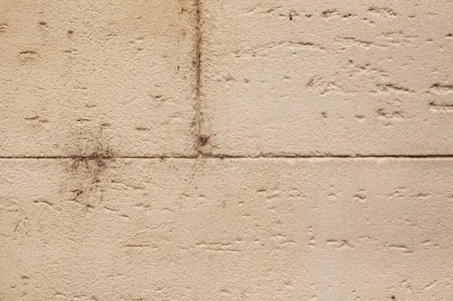 Close-up of exterior walls freshly cleaned and treated, showing texture and color.