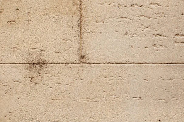 Photo of a team carefully inspecting stone surfaces during a home renovation project.