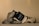 A bottle of men's fragrance labeled 'Gentleman Givenchy' is artfully positioned among pieces of driftwood, set against a warm beige background.