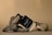 A bottle of men's fragrance labeled 'Gentleman Givenchy' is artfully positioned among pieces of driftwood, set against a warm beige background.