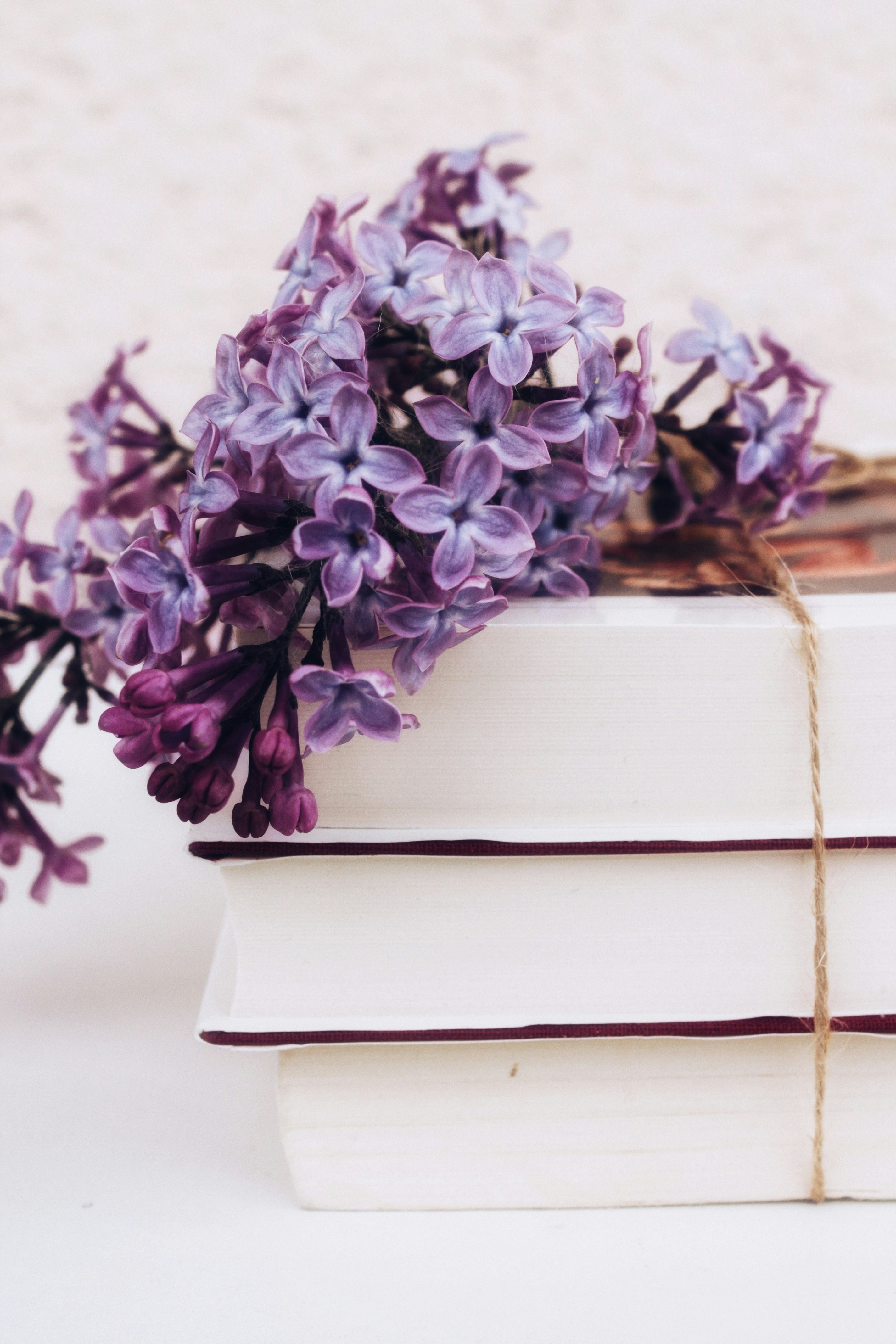 Photo by anna_meshkov