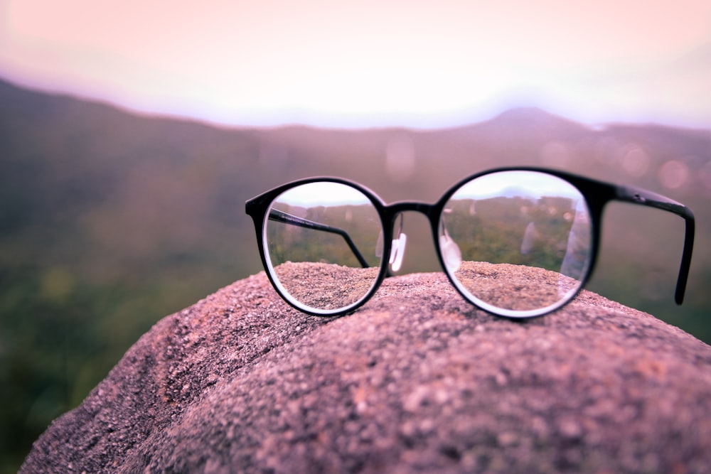 gafas de montura negra en Brown Rock