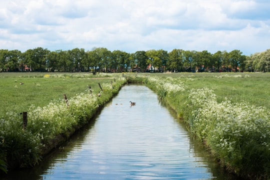 green grass field near river during daytime in Culemborg Netherlands