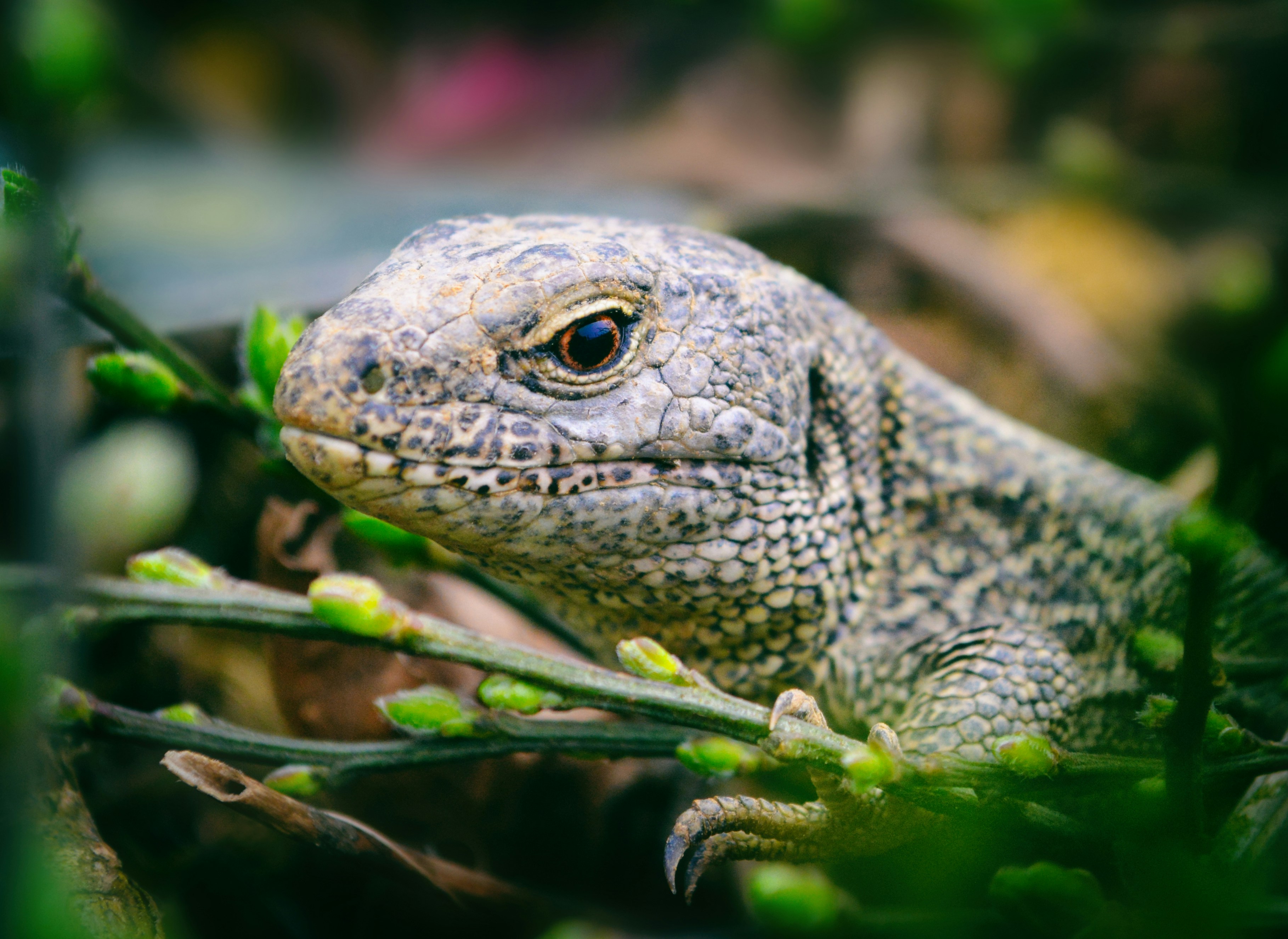 Photo by andreavirtuell