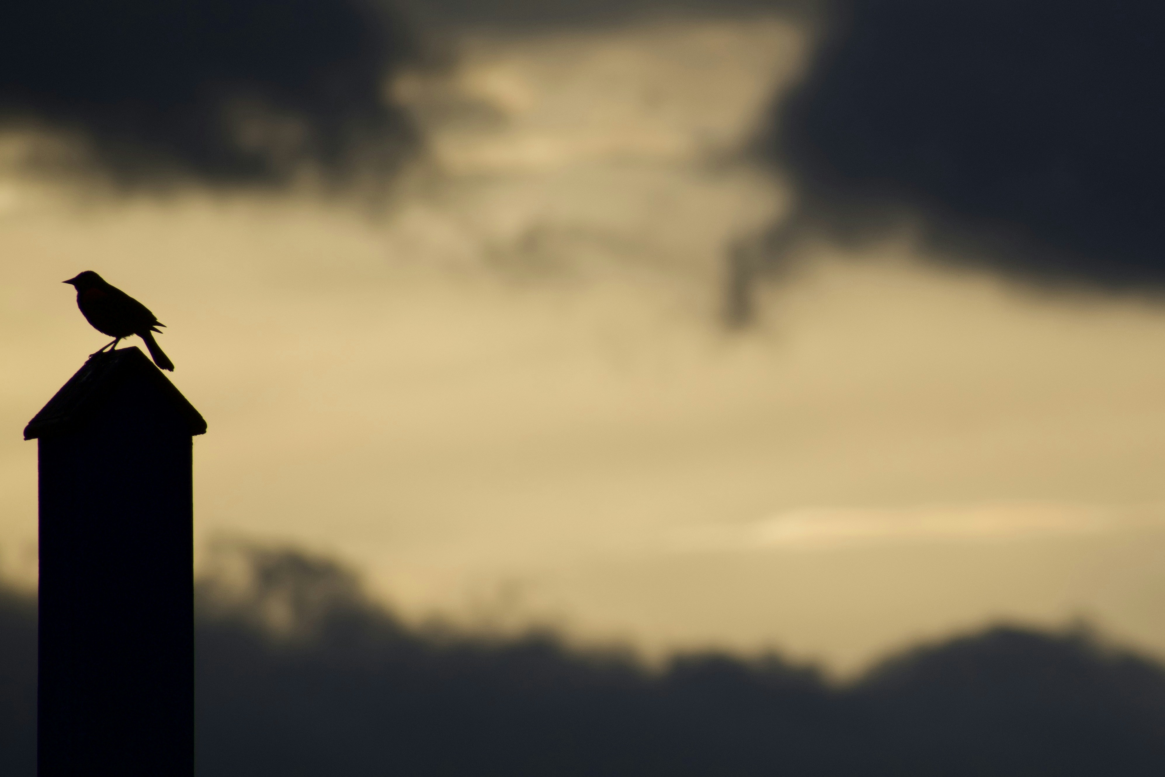 Photo by elisastonephotography