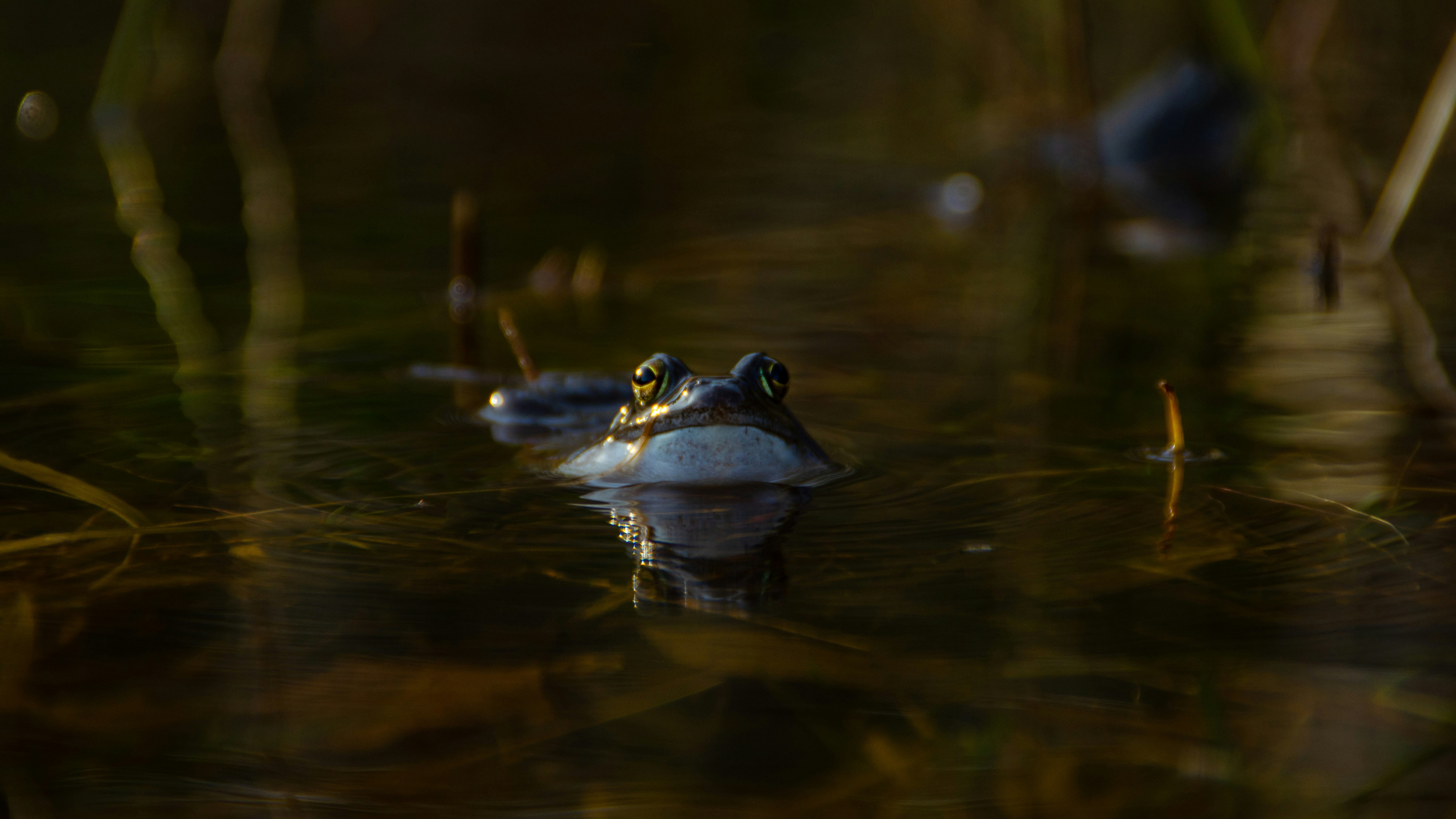 Photo by joelvschoon
