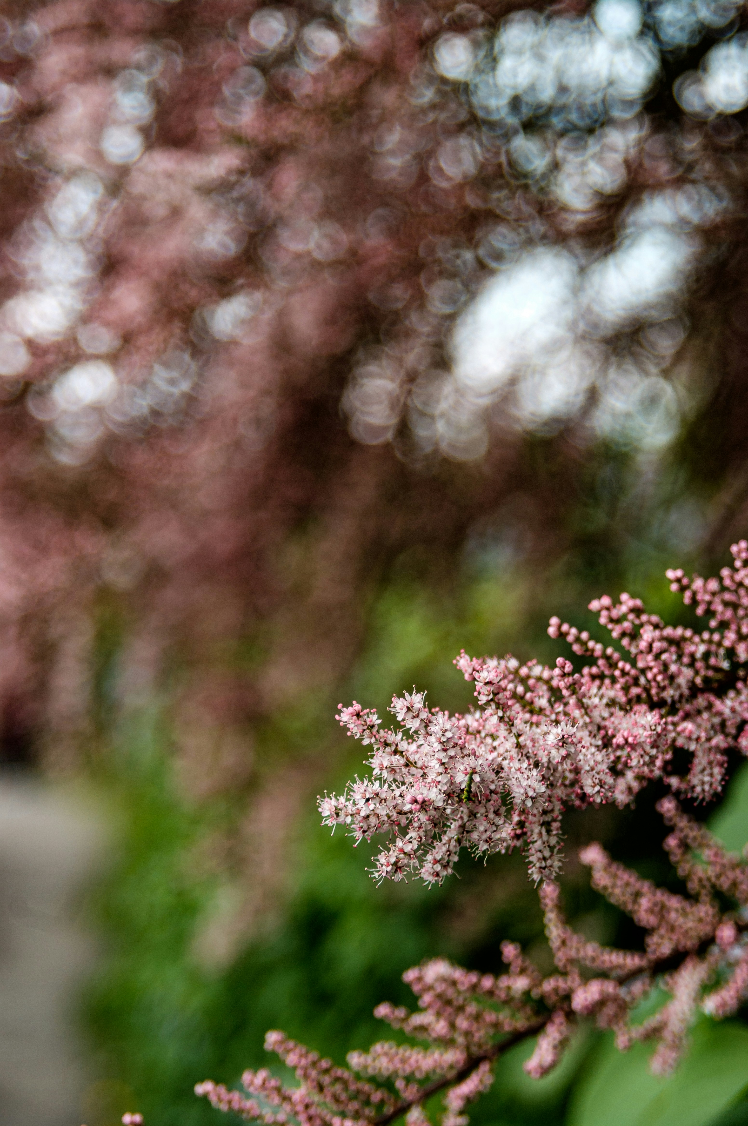 Photo by heyeje
