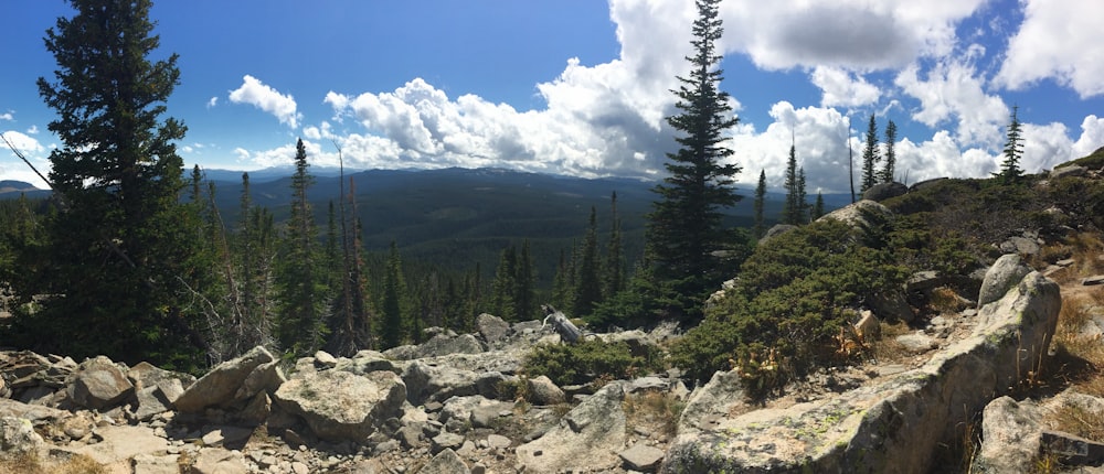 green pine trees on rocky hill under blue sky during daytime