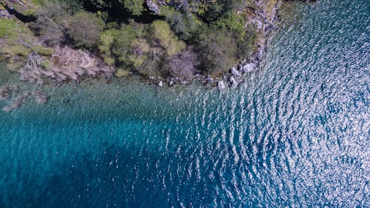aerial view of green trees beside body of water during daytime in Ohrid North Macedonia