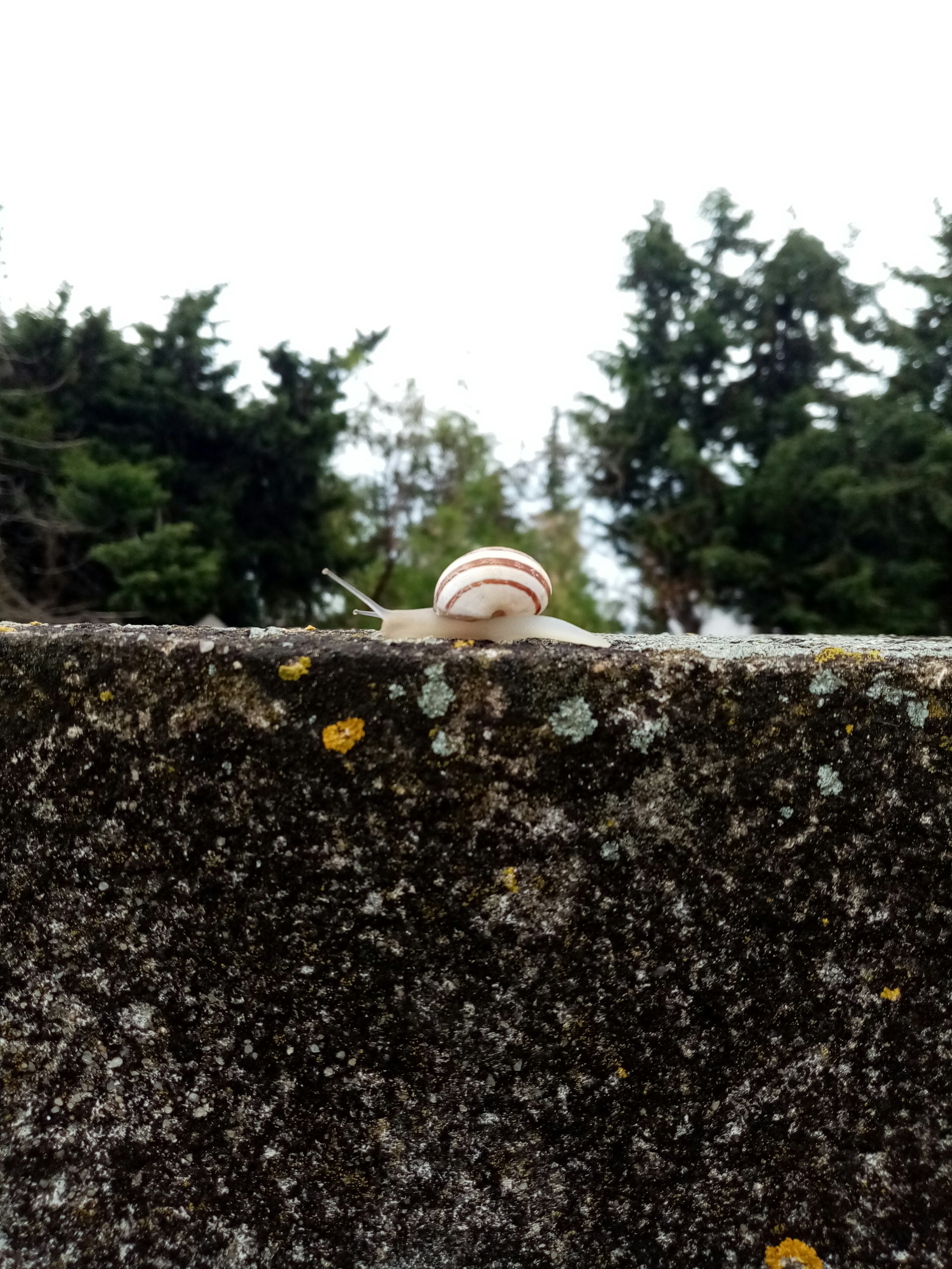 gray computer monitor