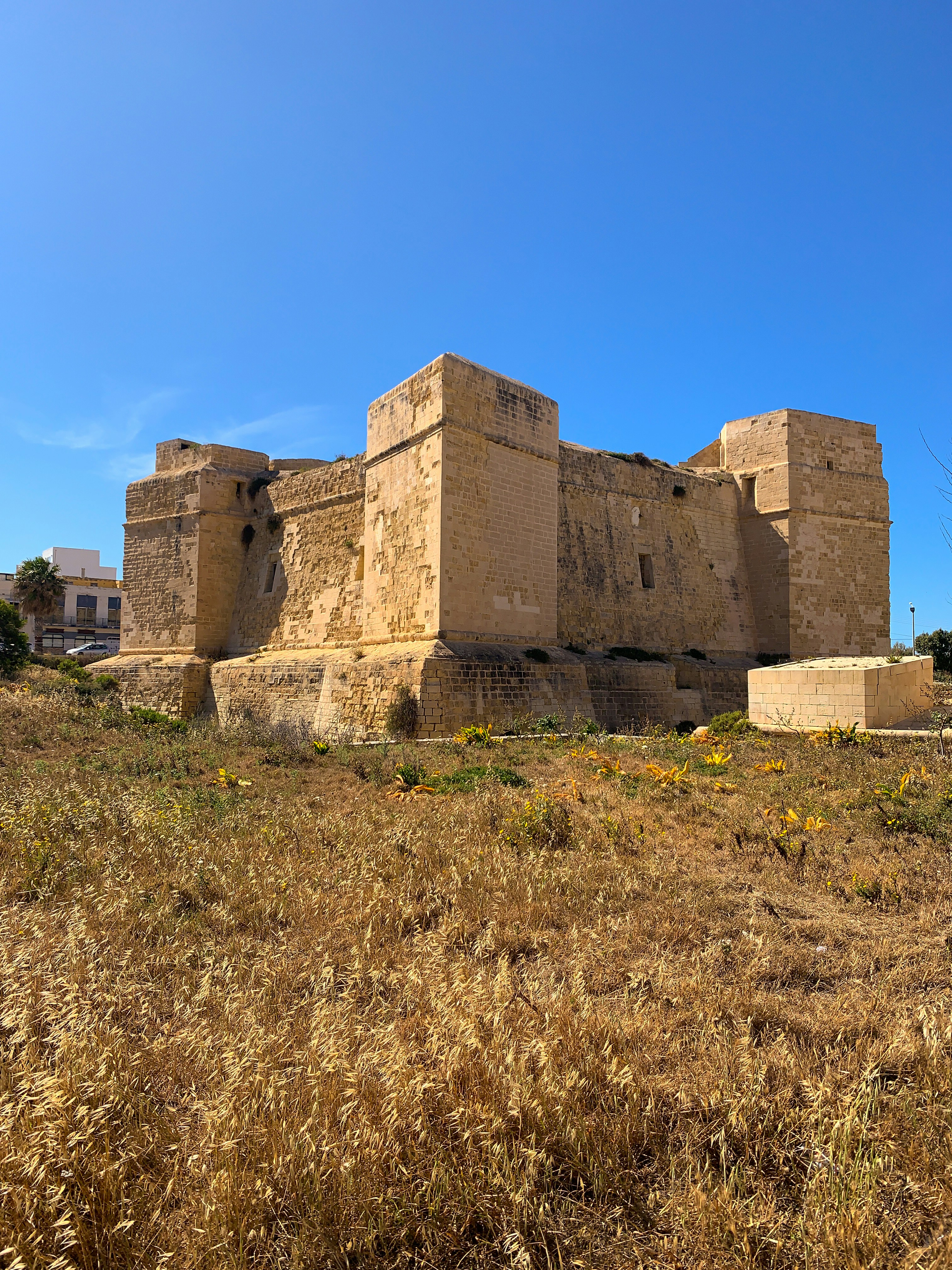 Photo by tipografia_izzo