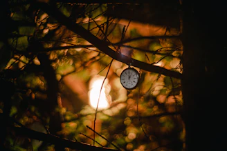 white and black round analog wall clock