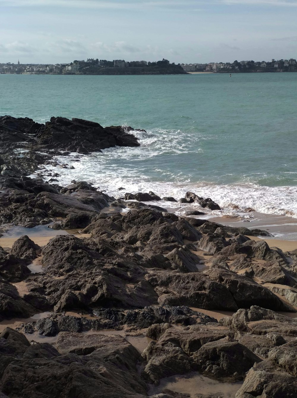 brown rocks on seashore during daytime