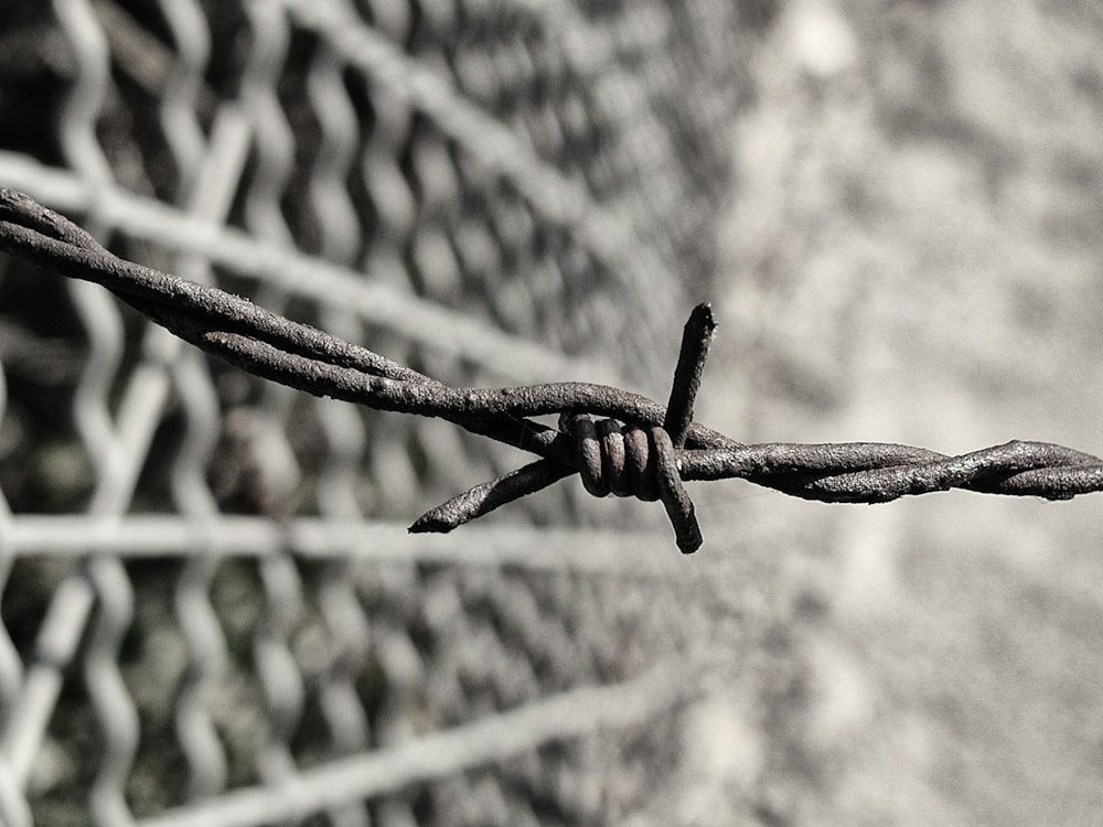 brown rope in close up photography