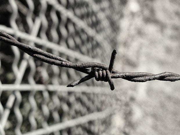 a close up photo of a barbed wire fence