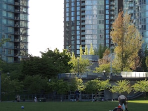 A city park surrounded by tall residential buildings with glass facades. The green area is filled with people enjoying outdoor activities, including a child with a ball. The scene is well-lit by natural sunlight, highlighting the lush green trees and a clear sky.