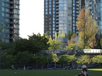 A city park surrounded by tall residential buildings with glass facades. The green area is filled with people enjoying outdoor activities, including a child with a ball. The scene is well-lit by natural sunlight, highlighting the lush green trees and a clear sky.