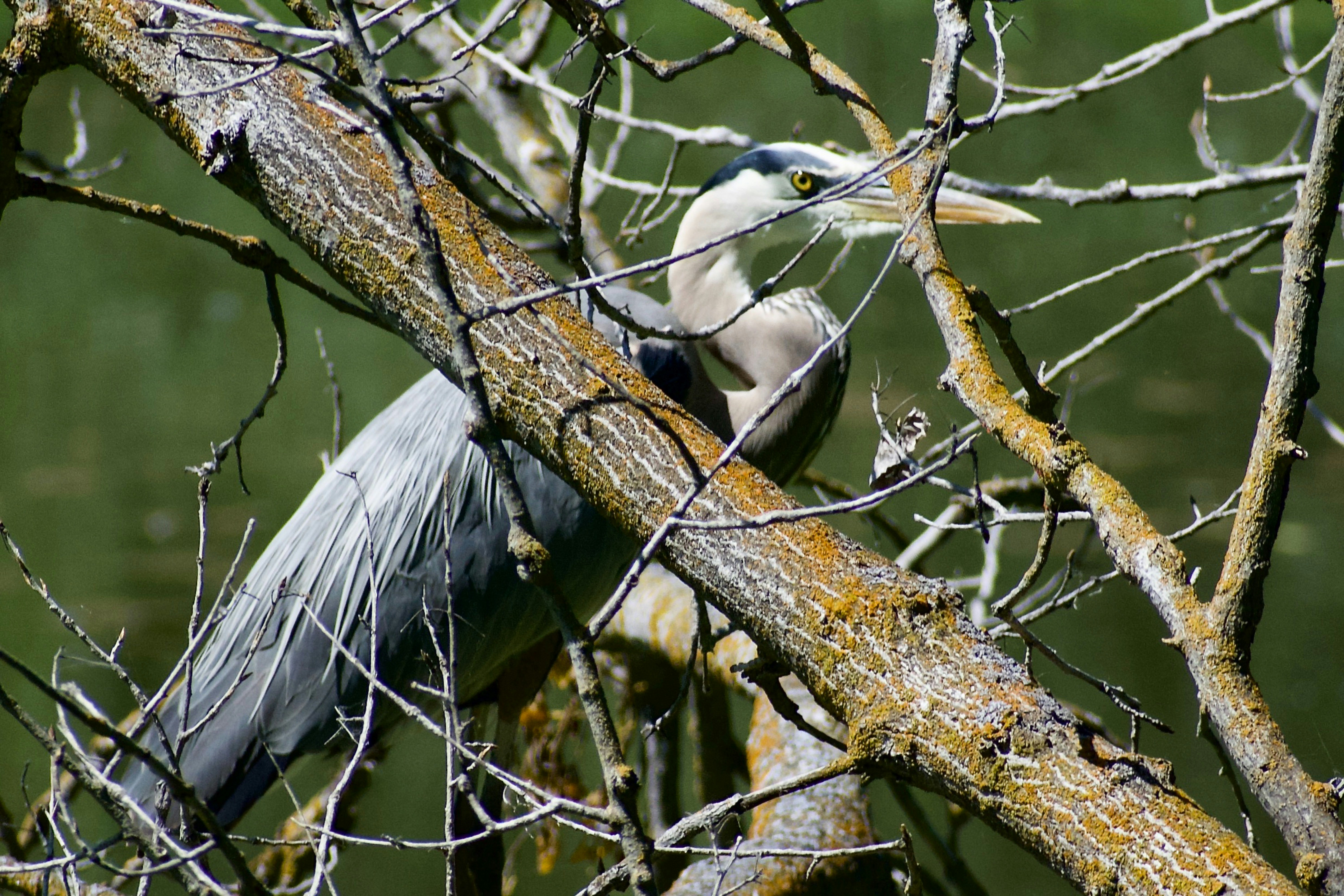 Photo by elisastonephotography