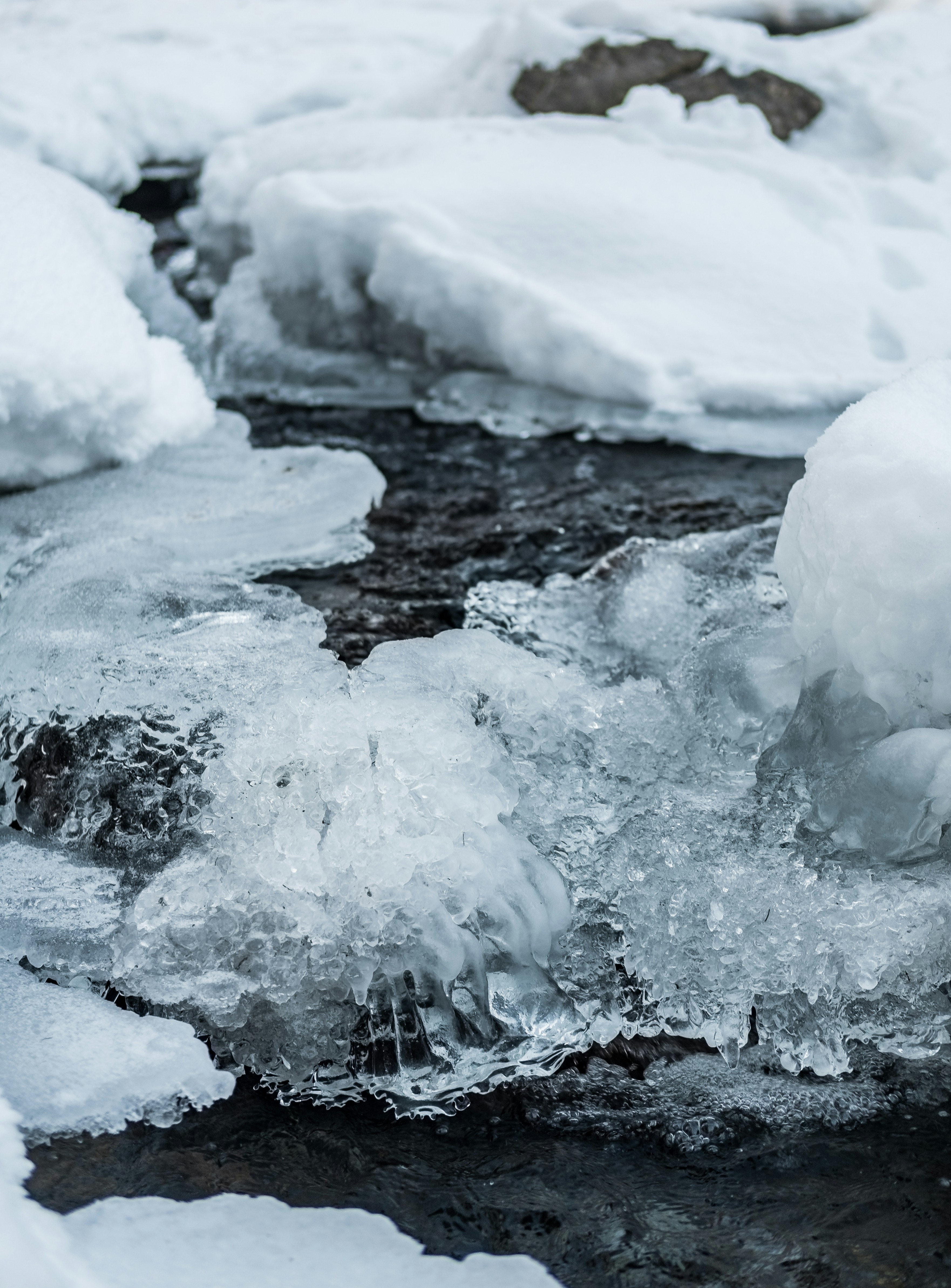 Photo by christian_thoeni