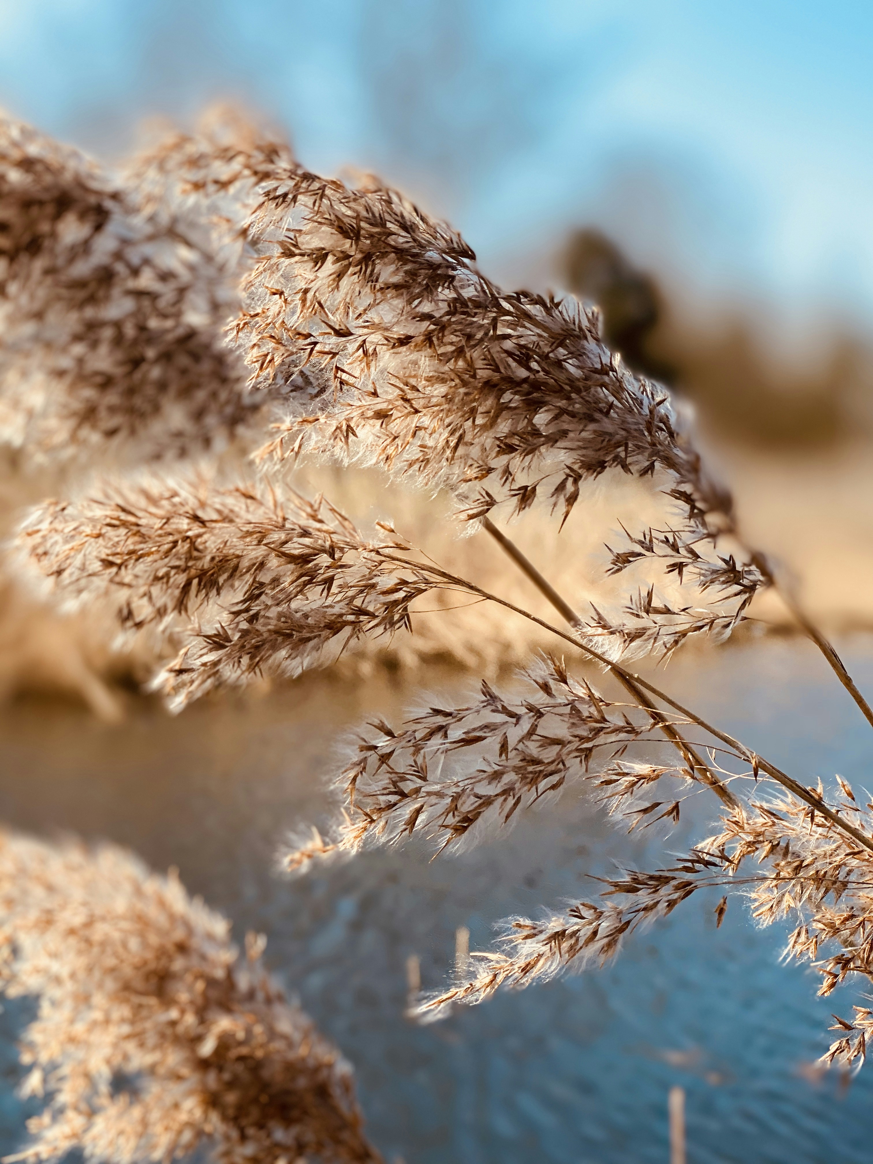 Photo by lauraseidlitz