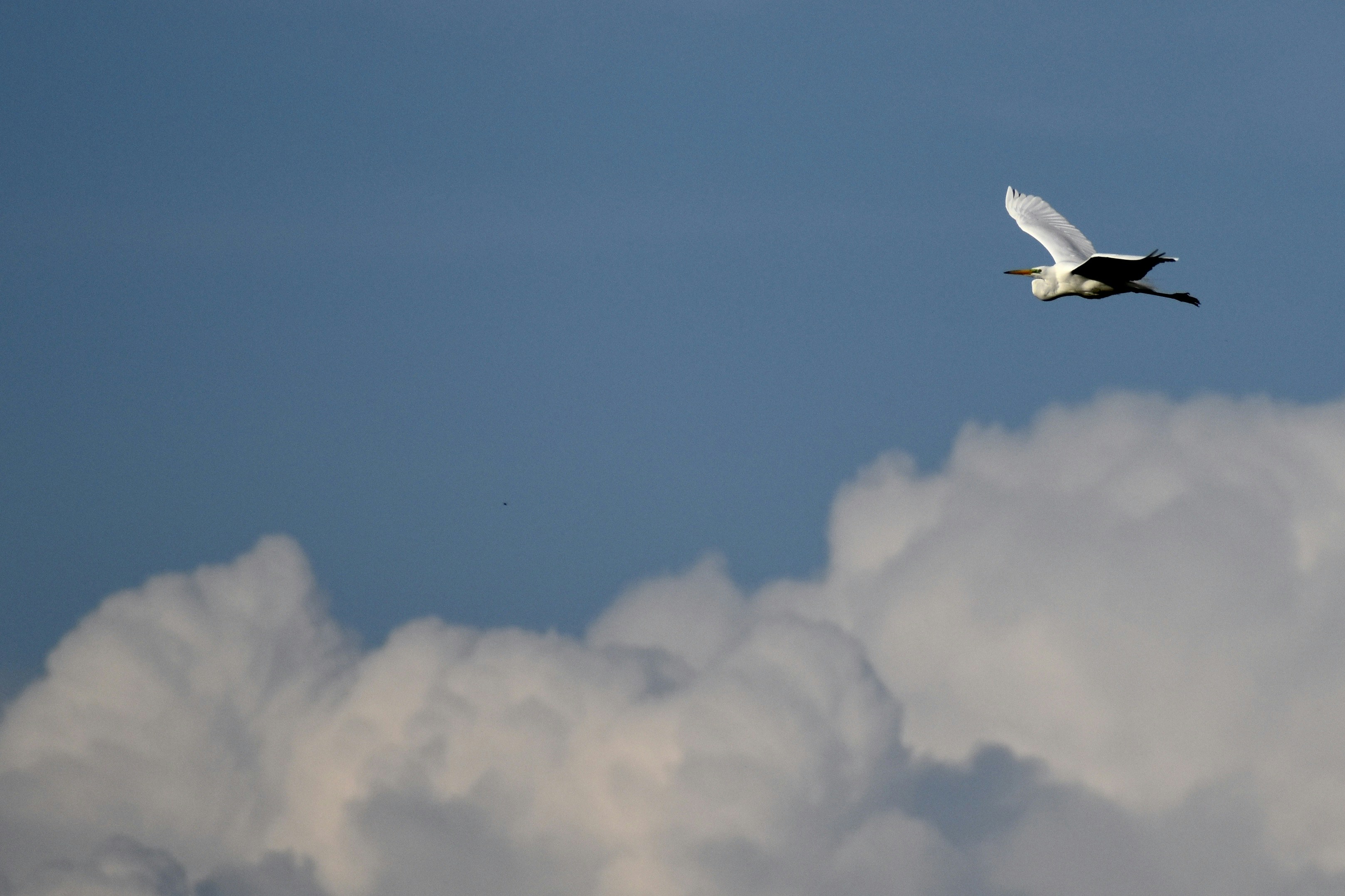 Photo by elisastonephotography