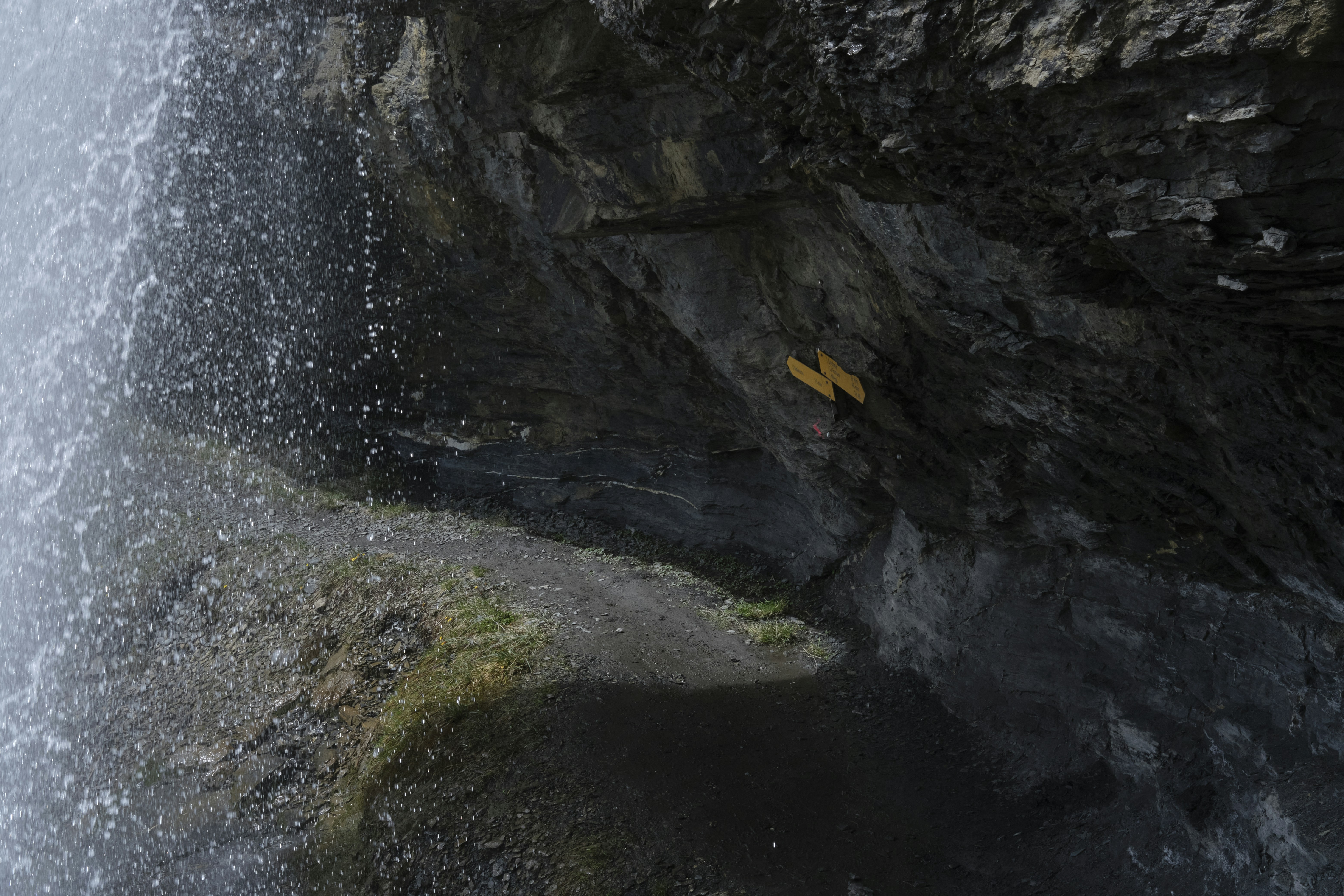 Photo by bullfishfighter