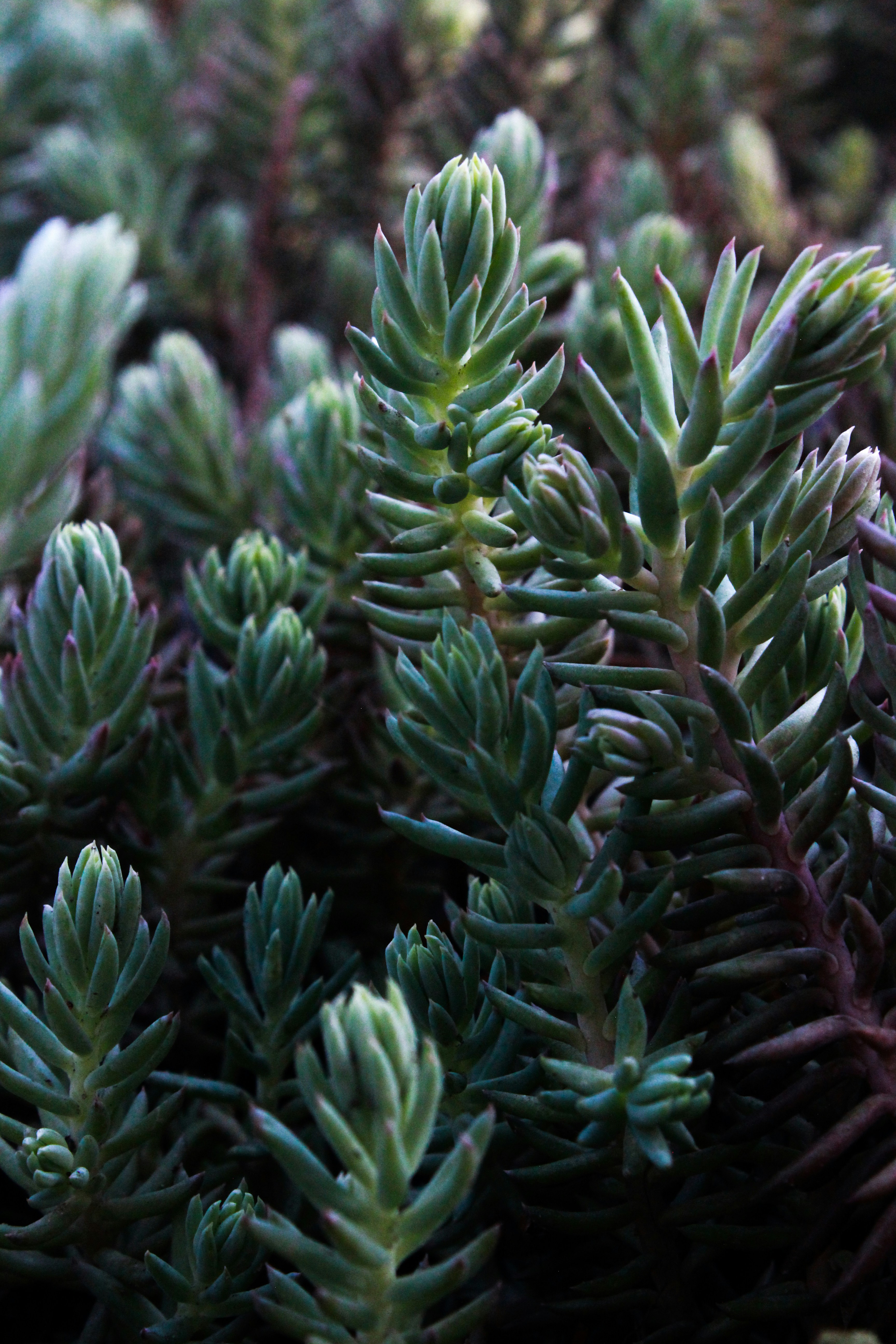 Photo by aleksandra_ua