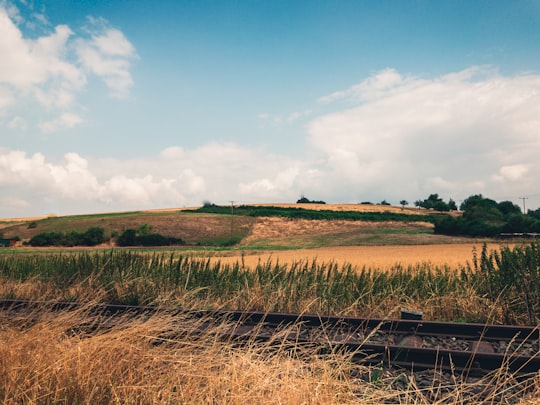 green grass field under blue sky during daytime in Holzheim Germany