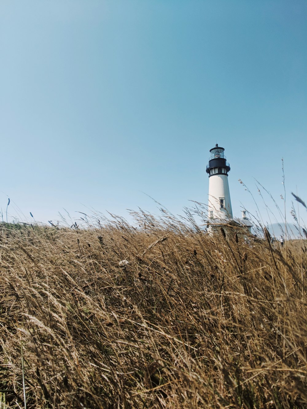 white and black lighthouse under blue sky during daytime