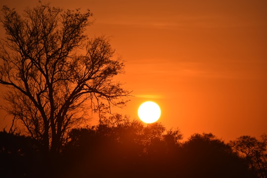 photo of Khwai Ecoregion near Moremi