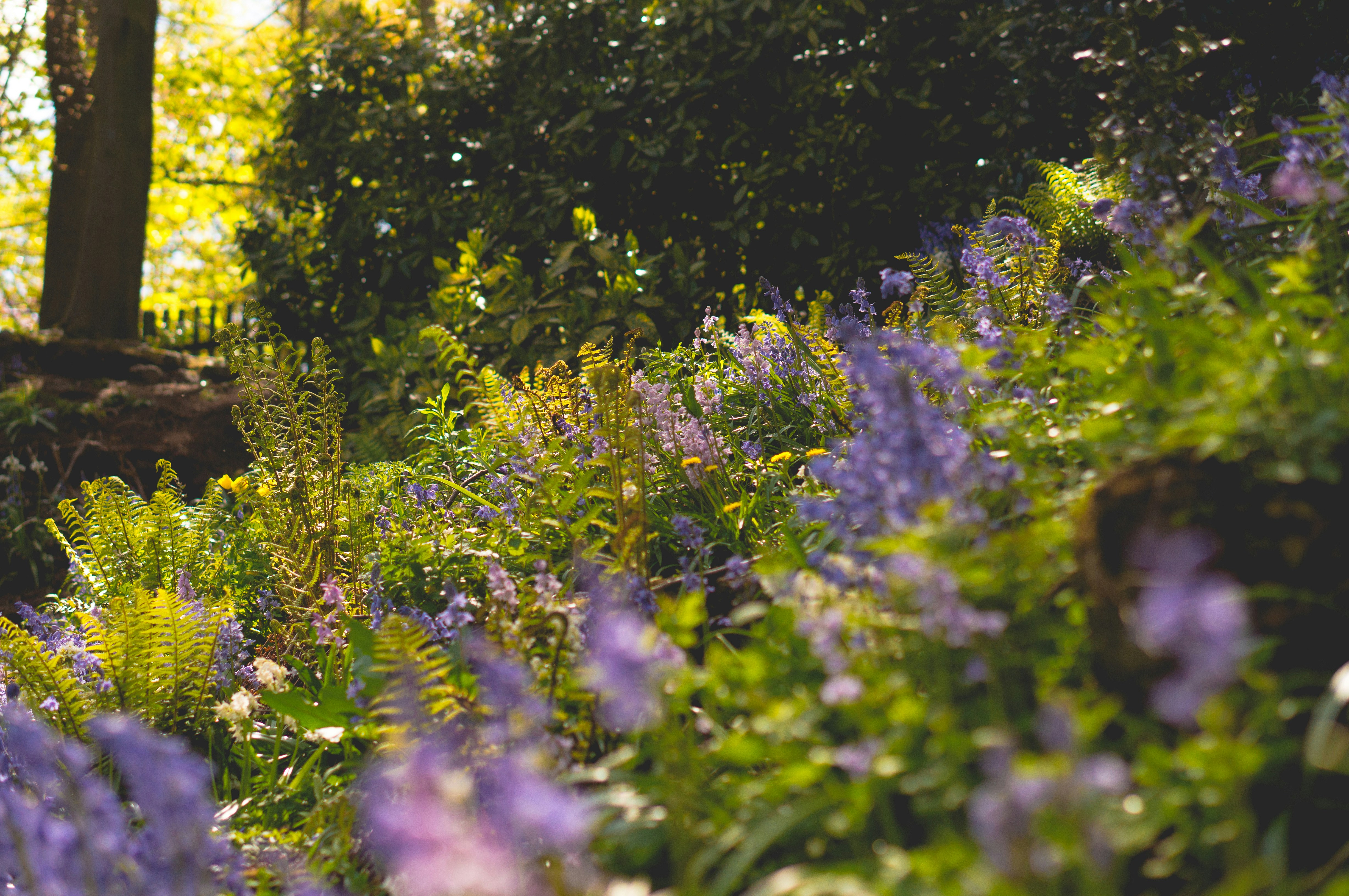 Photo by eilisgarvey