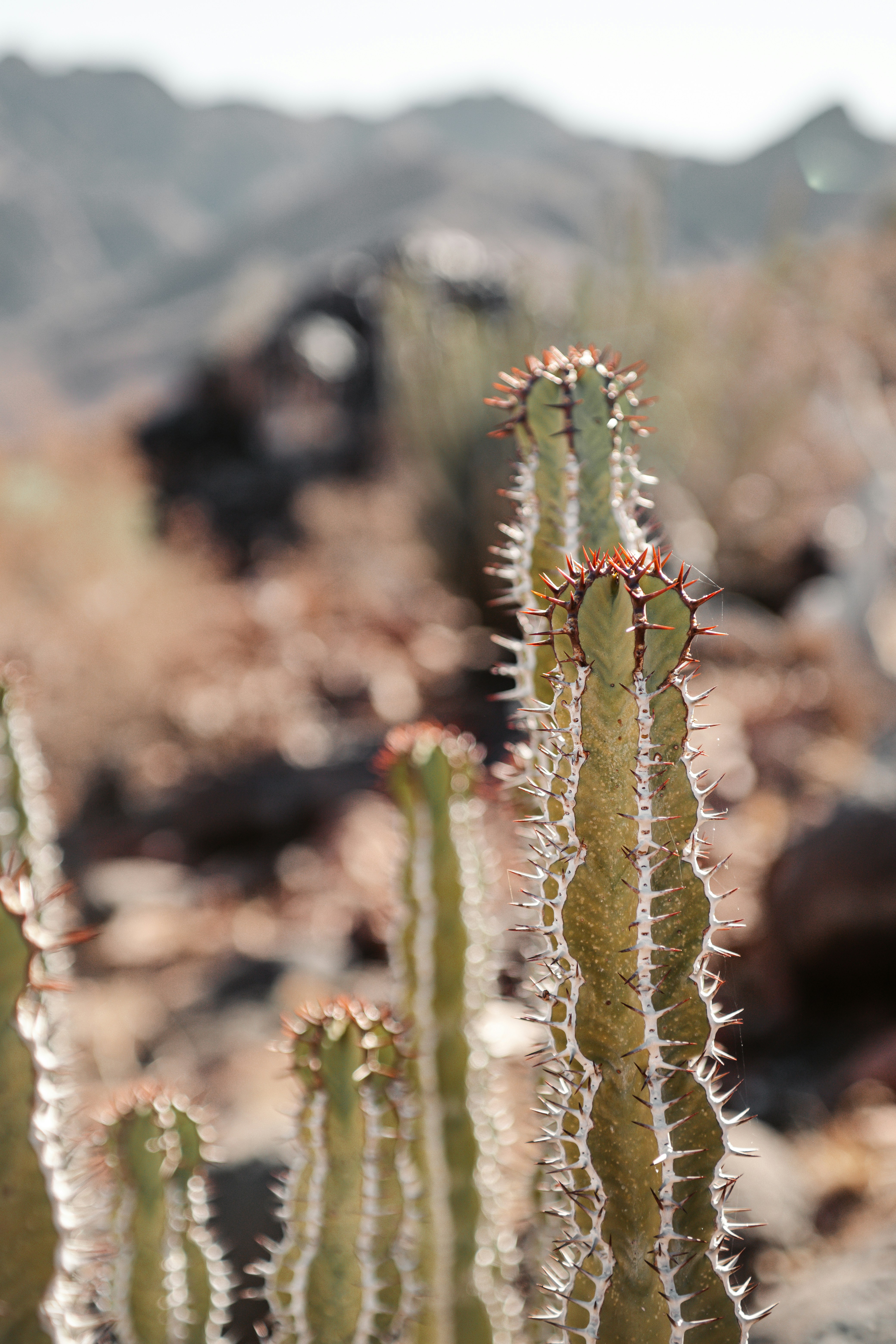 Photo by jack_and_kie