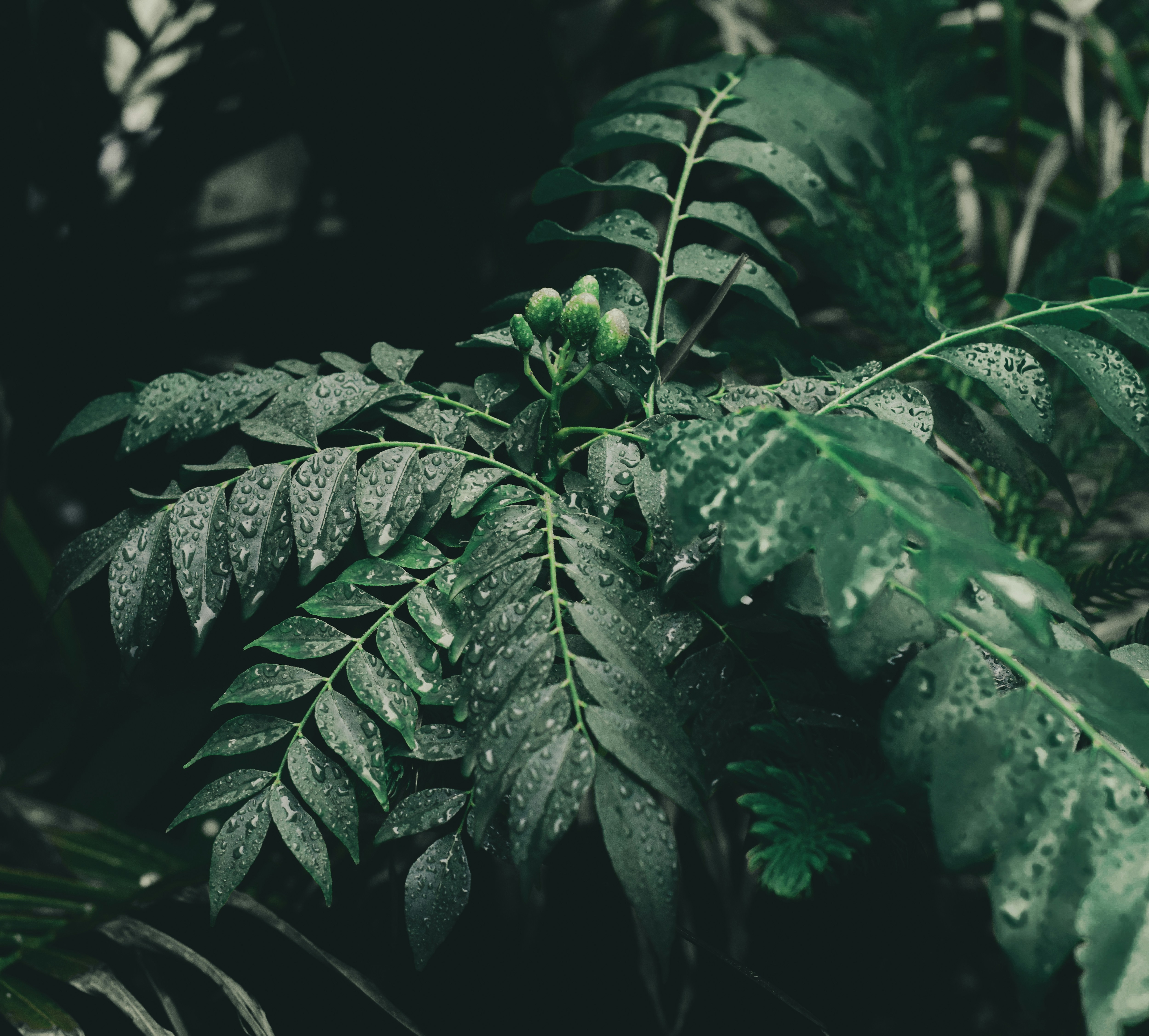 Photo by richasharma96