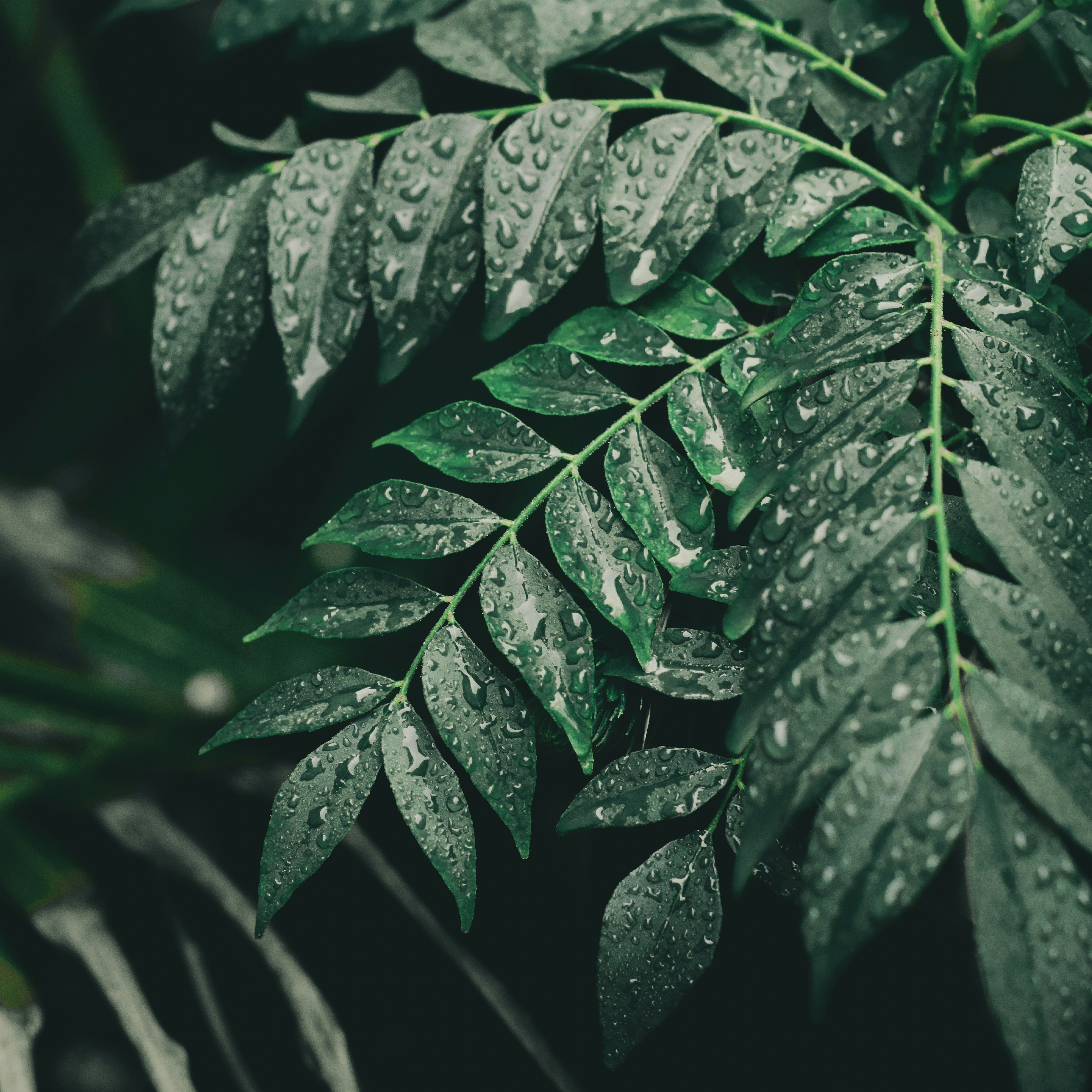 Photo by richasharma96