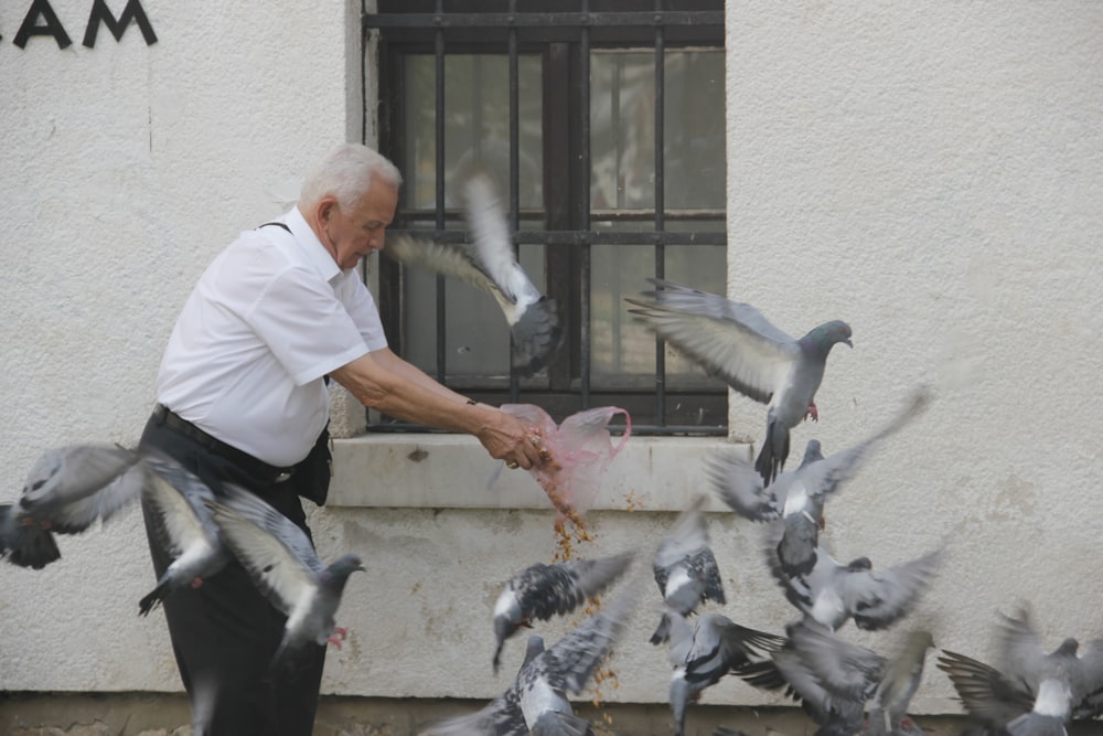 man in white shirt and black pants holding gray pigeon