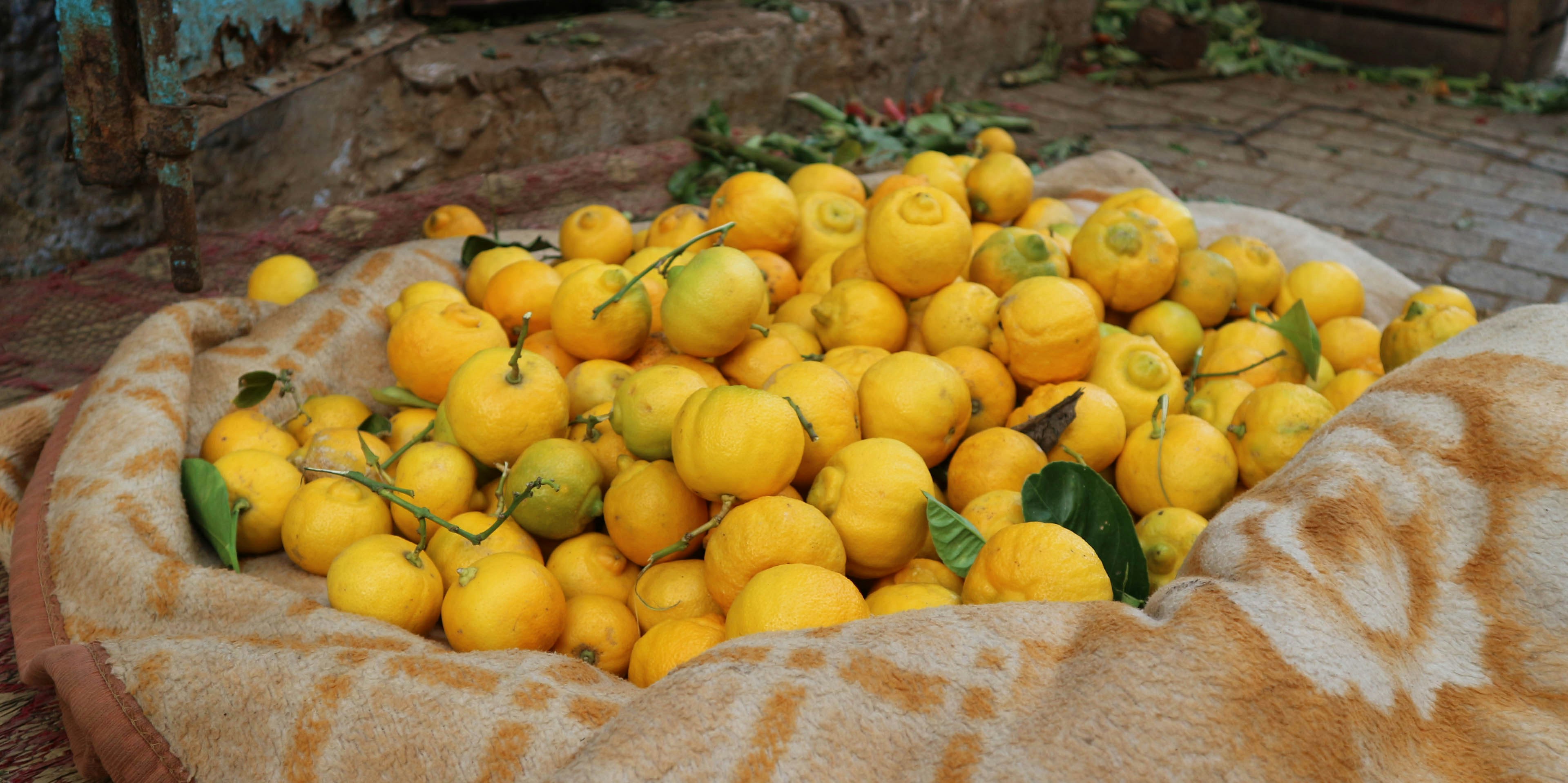 Photo by thepinkpingu