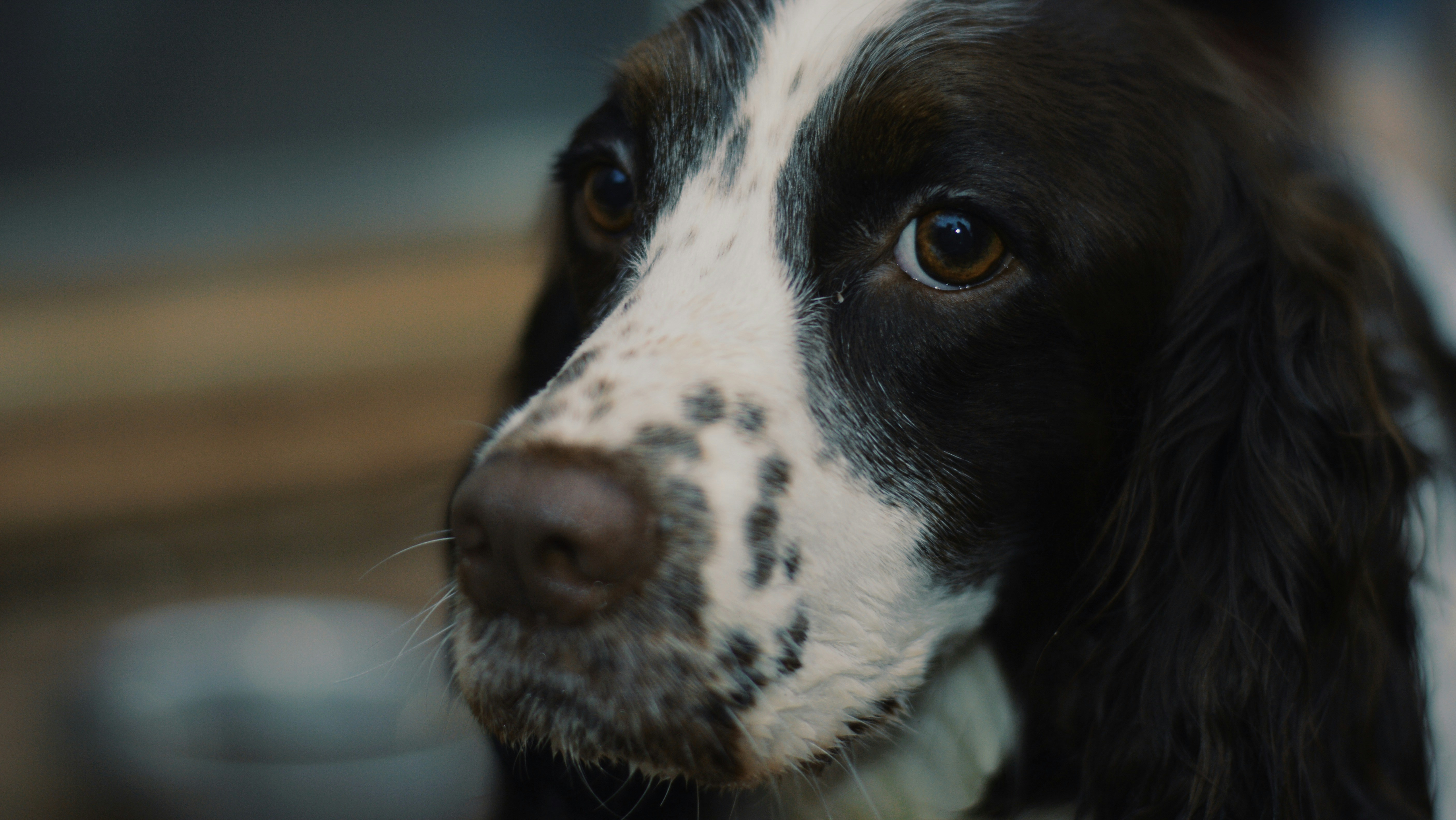 Photo by markfuller48