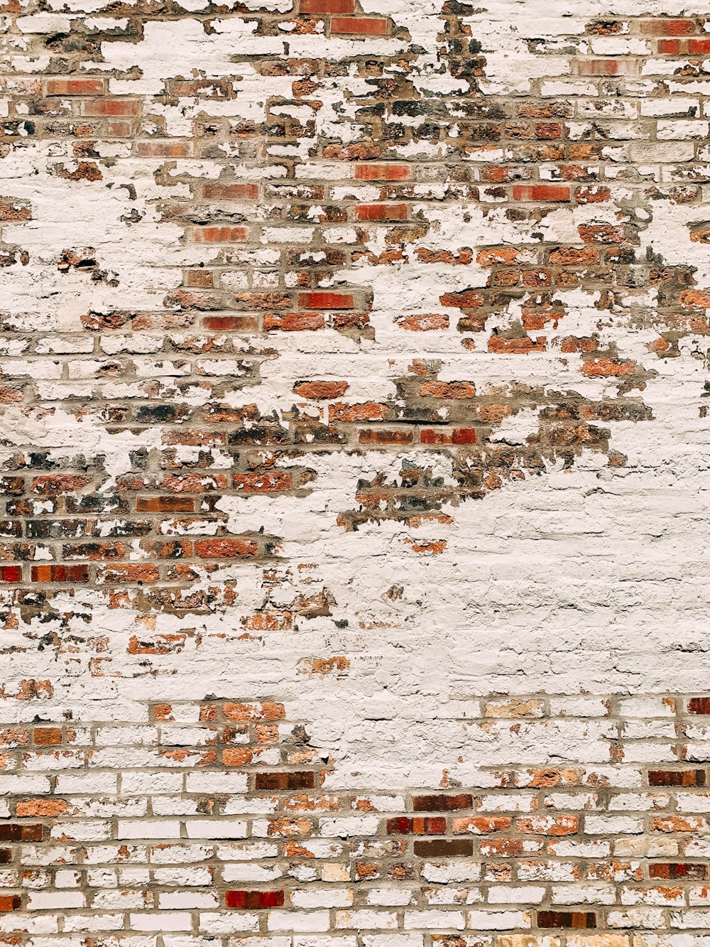 Muro de hormigón blanco y rojo