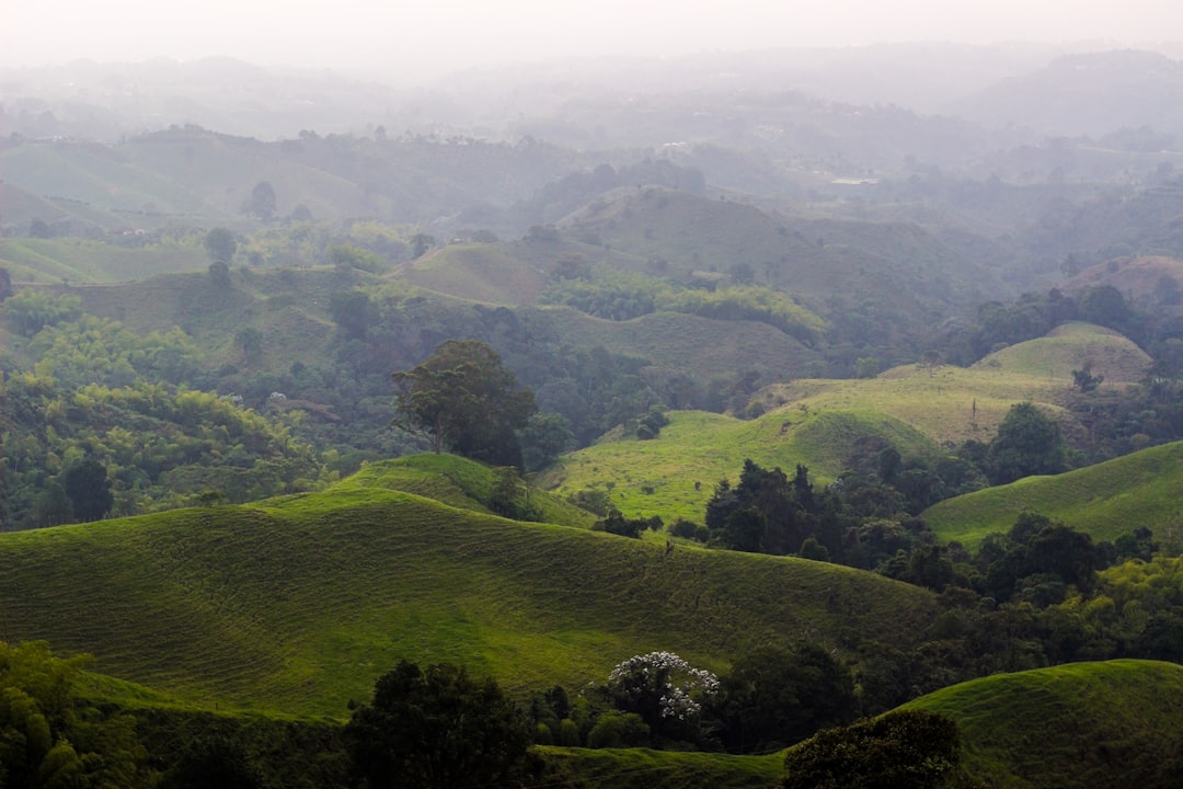 Hill station photo spot Filandia Cocora Valley