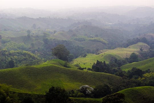 green mountains under white sky during daytime in Filandia Colombia
