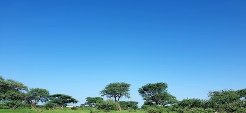 A scenic view of Eastern Africa, symbolizing growth and opportunity.