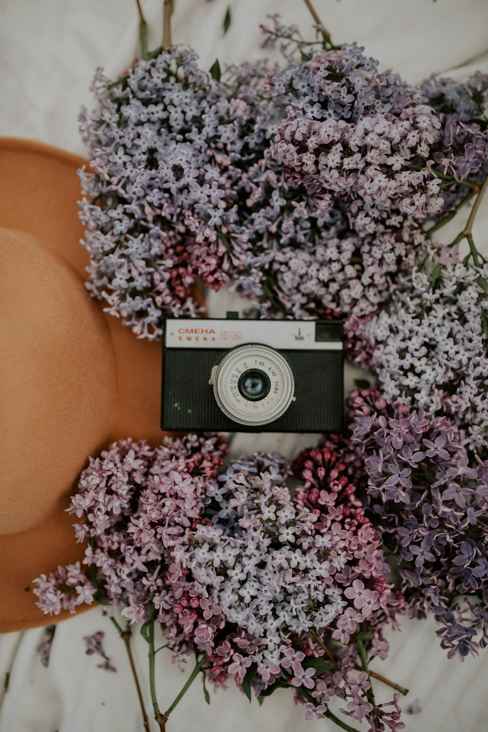 紫の花に黒と銀のカメラ
