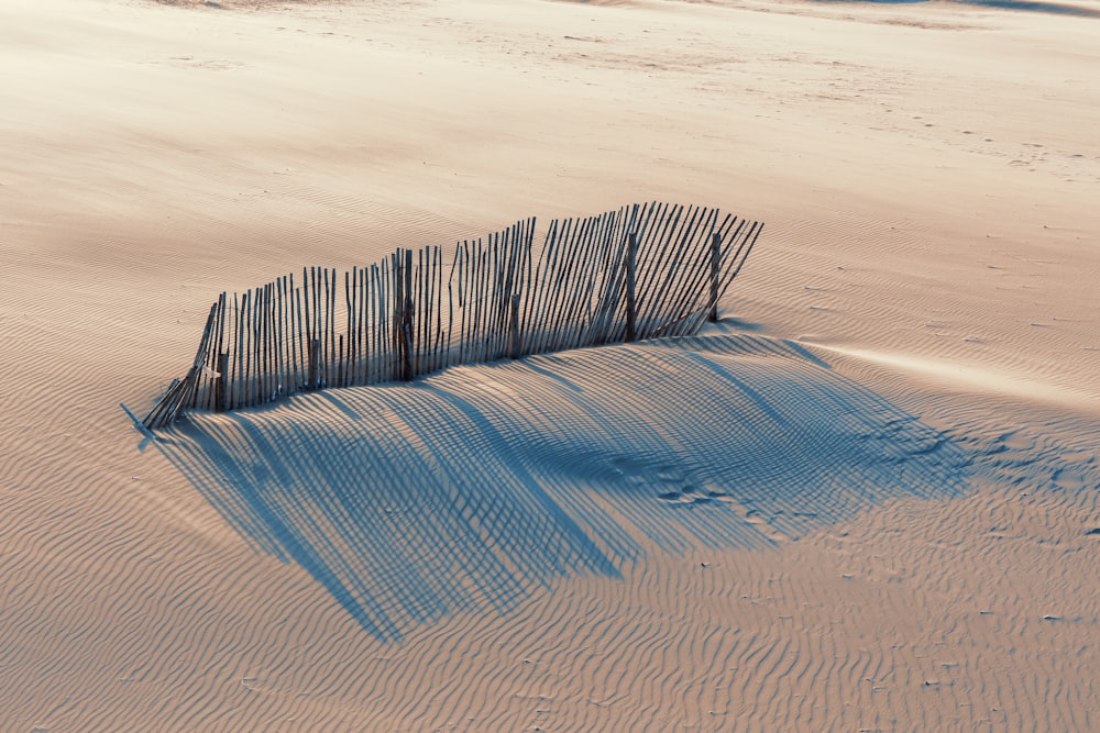 white and black striped textile on brown sand