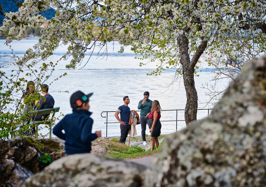 people sitting on gray rock near body of water during daytime